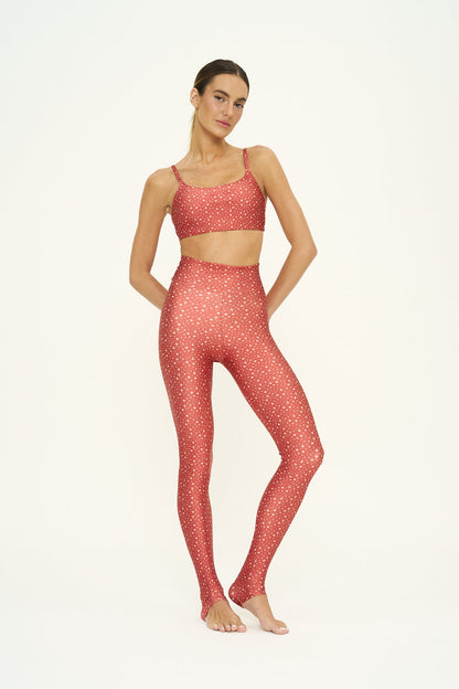 Top New Fit Galaxy